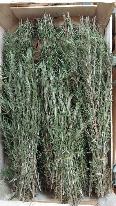 Rosemary 100g