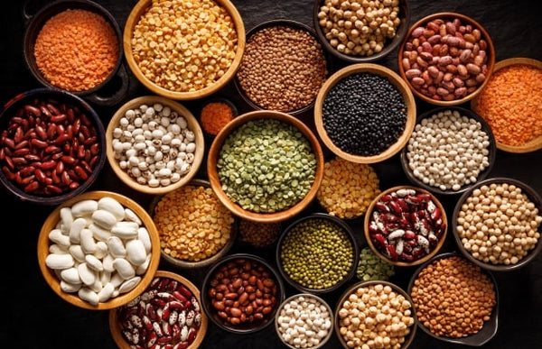 Legumes, Spices & Herbs