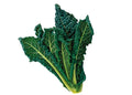 Cavolo Nero