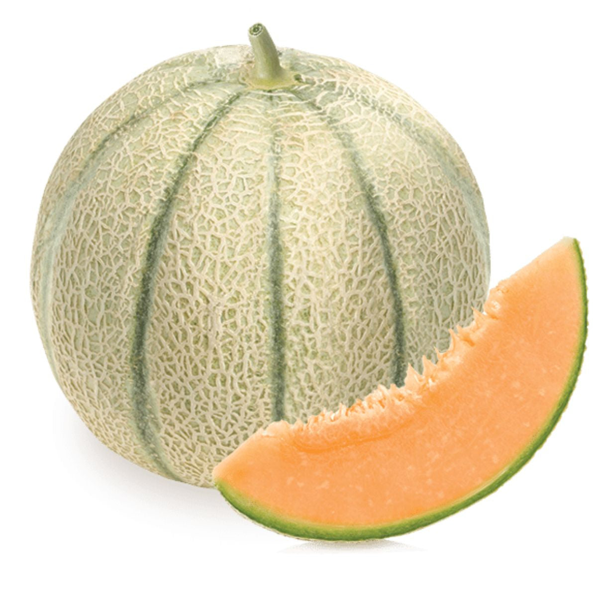 Melon Red Falcon