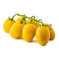 Tomato Datterino Yellow 250g
