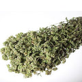 Oregano dry 100gr