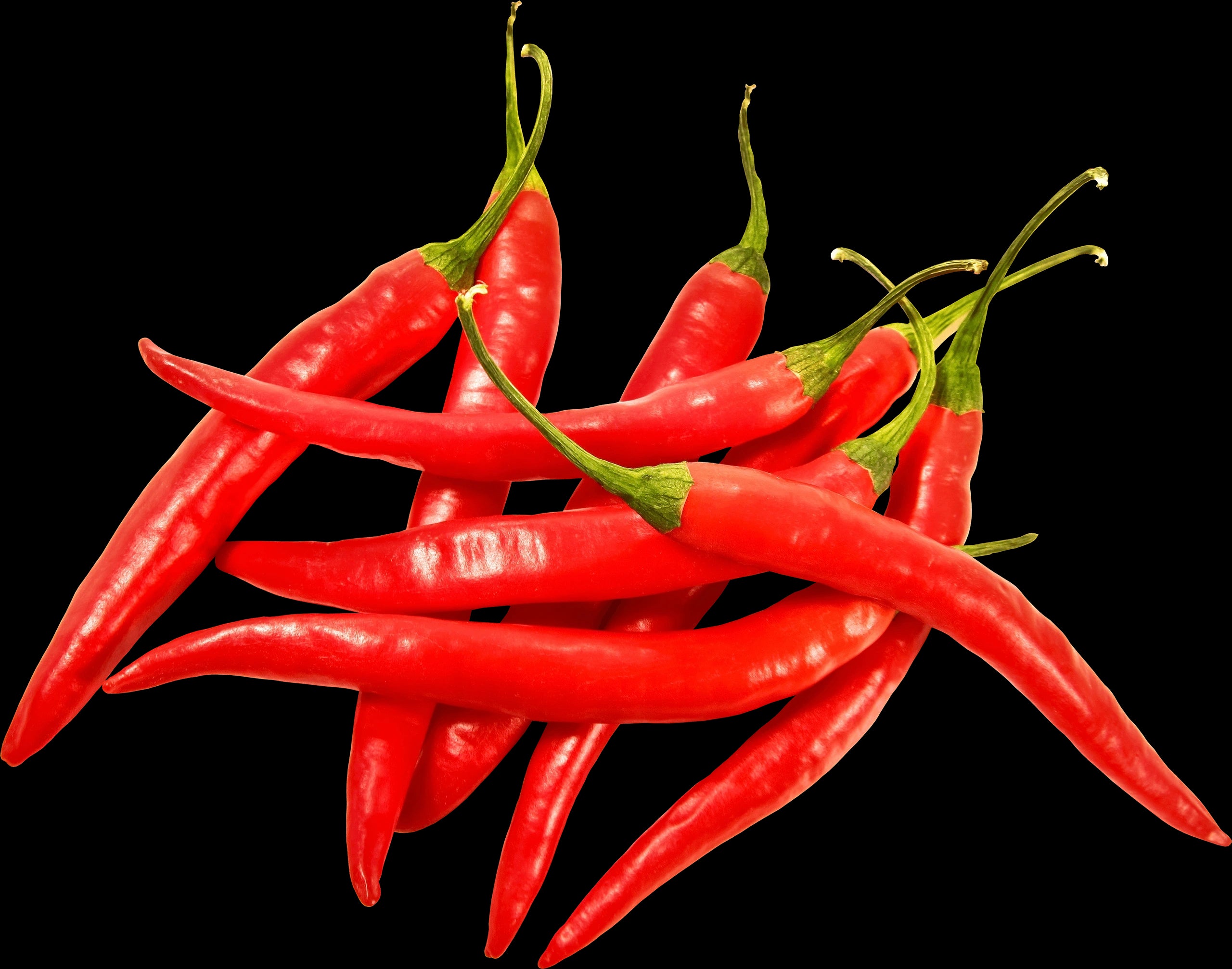 Chilli Fresh 250g
