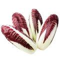 Radicchio 250g