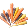 Carrots Colours 500g