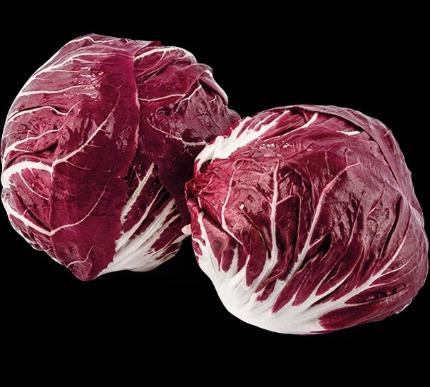 Radicchio Castelfranco