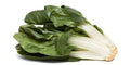Swiss chard