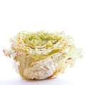 Radicchio Castelfranco
