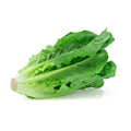 Lettuce