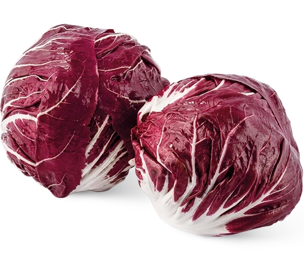Radicchio Chioggia 250g