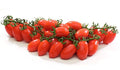 Tomato Datterino 250g