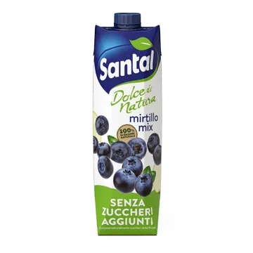 Santal blueberry mix 1L juice carton, blue and green label with fruit illustrations
