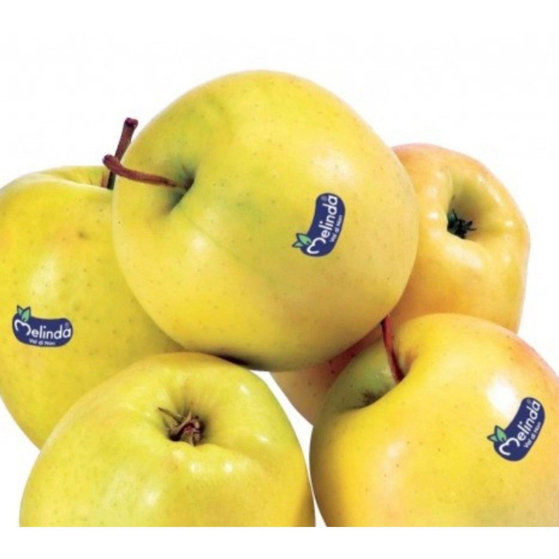 Apple Melinda Yellow 250g