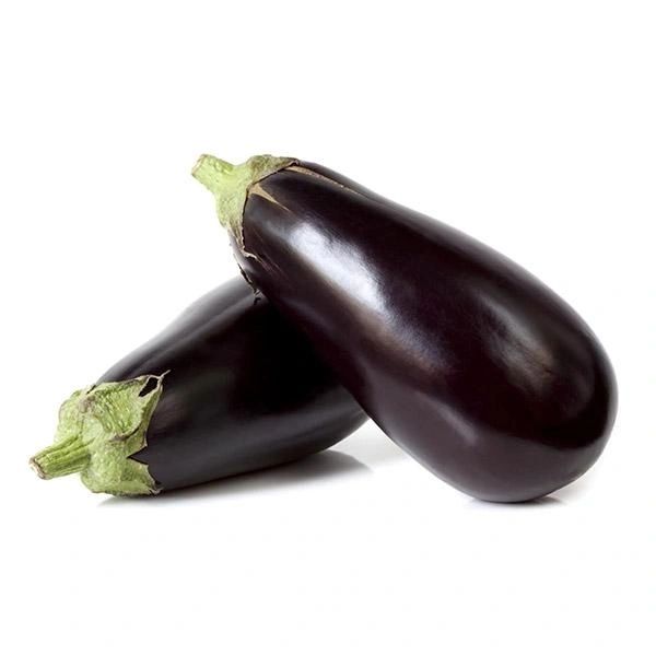 Dark purple eggplants with green stems, aubergine variety