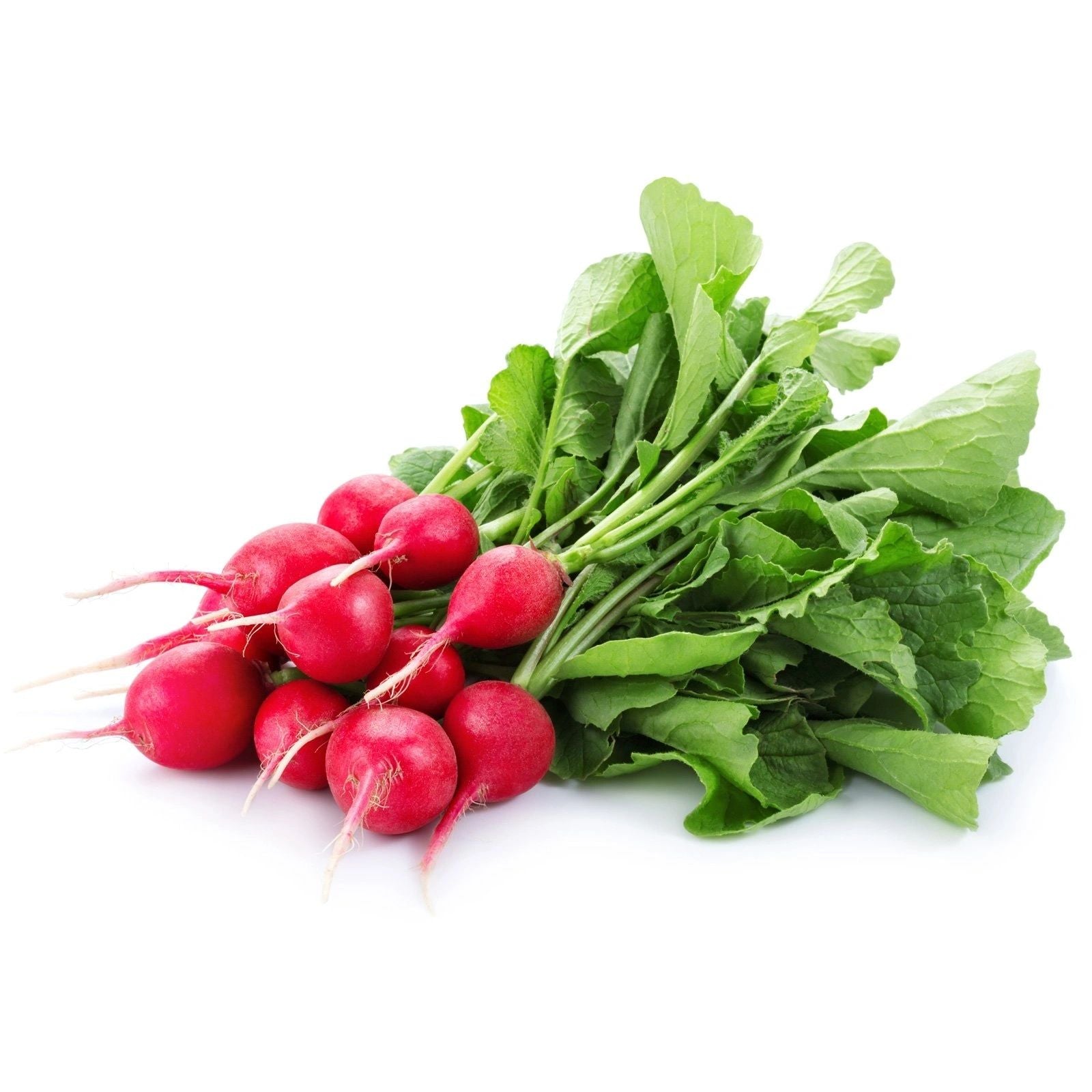 Radish bunch