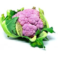 Cauliflower Purple 250g