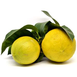 Bergamot 250g