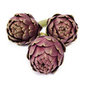 Artichokes pre pack punnet
