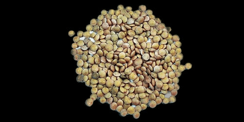 Sicilian Lentil 250g