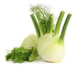 Fennel 250g