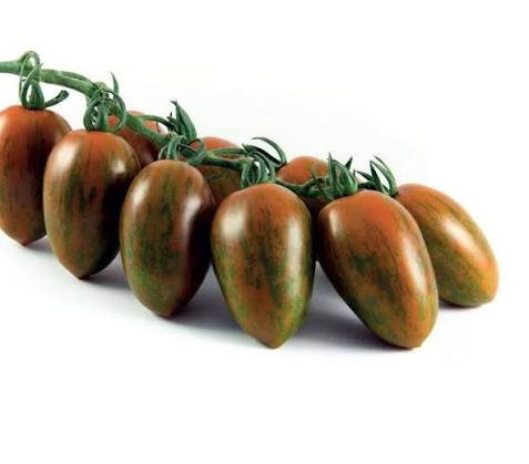 Black Zebrino tomato bunch with dark green and brown striped fruit on stems