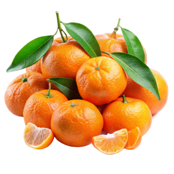 Clementine citrus fruit bundle with green leaves and segments, 500 g