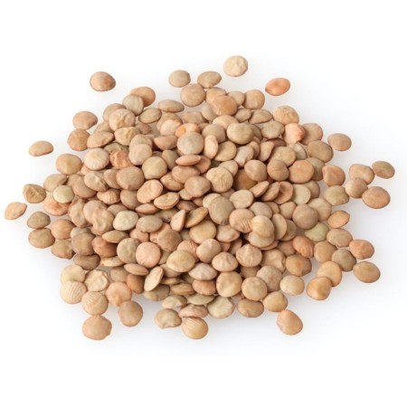Sicilian Lentil 250gr